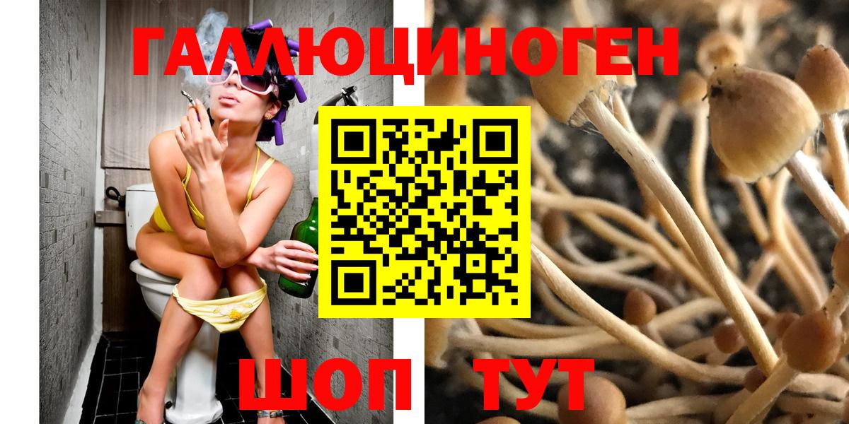 Усть-Джегута  Псилоцибиновые грибы Psilocybine cubensis  сколько стоит  Вход с VPN 