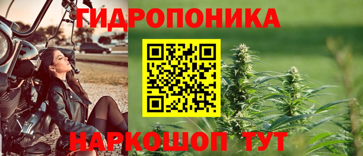 Бошки Шишки Amnesia  Марихуана AK-47  Усть-Джегута  Конопля марихуана  Вход с VPN  МАРИХУАНА OG Kush 